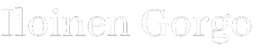 iloinengorgo.fi